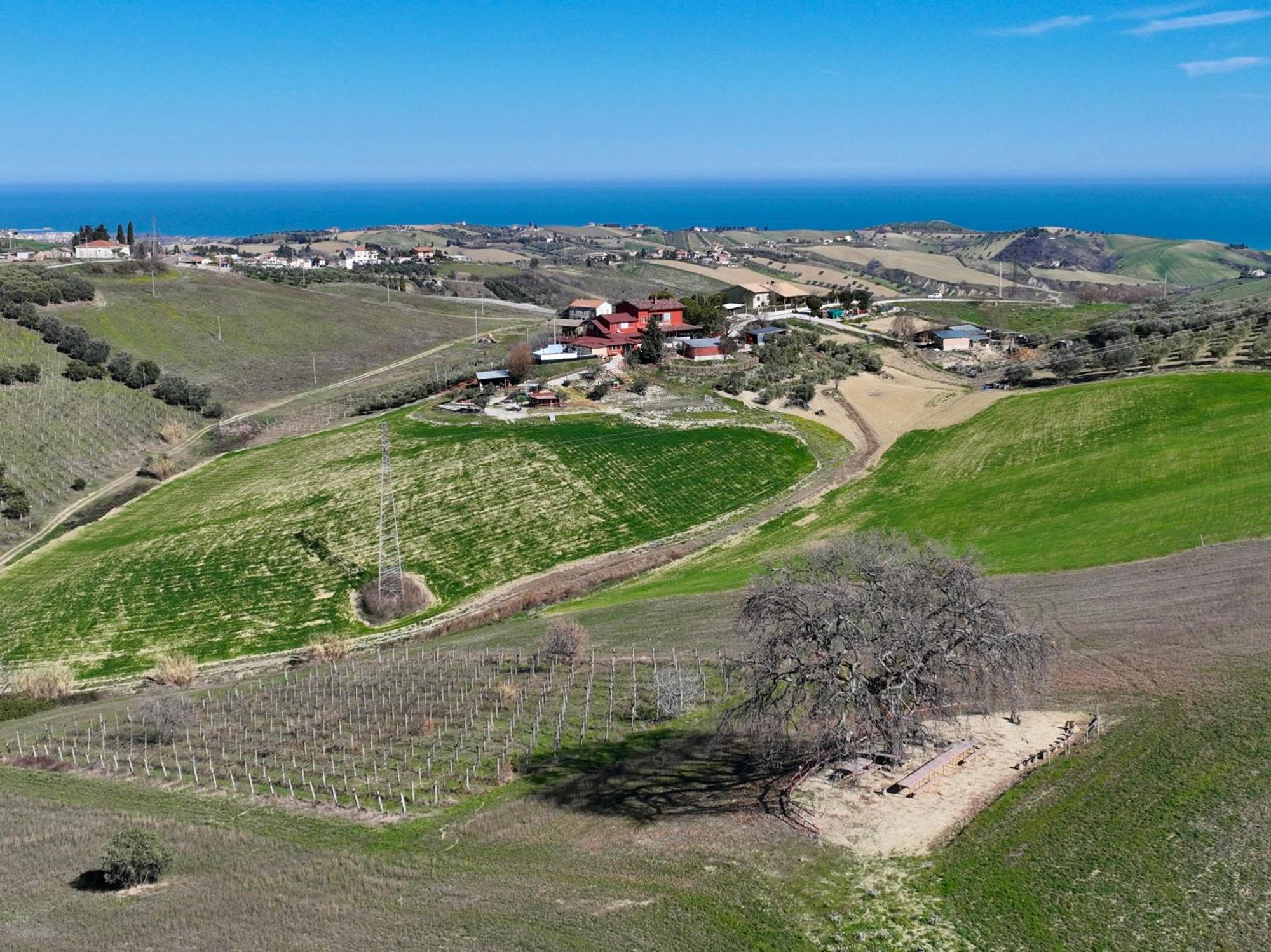 B&B Gli Amici Del Tubarello Roseto Degli Abruzzi Exterior foto